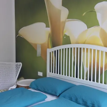 Casa vacanze Casabana Tutto L'anno *